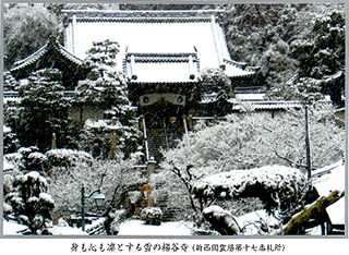 身も心も凛とする雪の楊谷寺