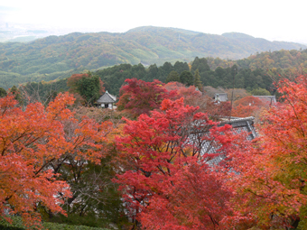 奥の院より境内遠景