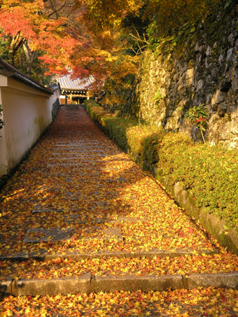 阿弥陀堂前参道