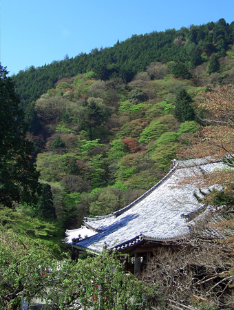 本堂と向山