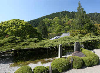 天然記念物「遊龍の松」