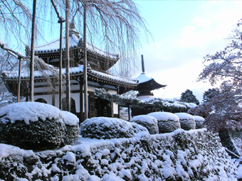 雪景色の経堂と多宝塔