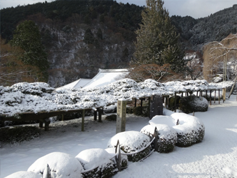 雪景色の「遊龍の松」